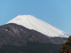 雄大な富士山が目の前に！